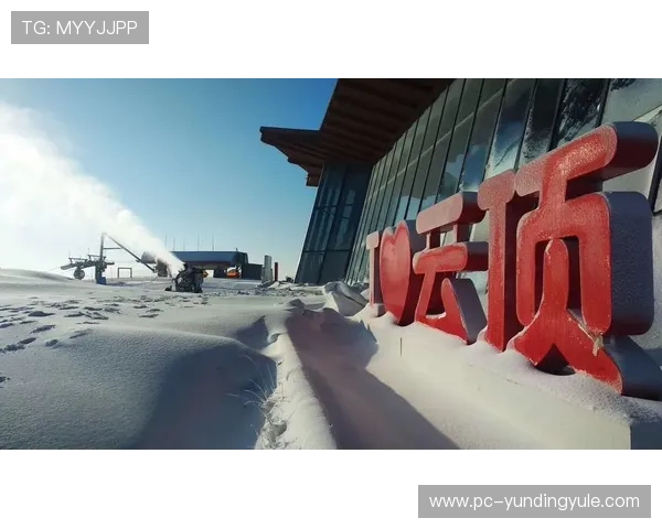 云顶集团简介和历史：回顾云顶集团的创始历程、重要转折点以及品牌发展战略