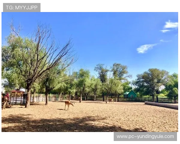 云顶斗地主送6救济金版每日福利礼包，助力玩家轻松积累救济金享受连续胜利的喜悦