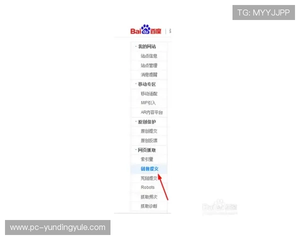 云顶国际网址登录详细流程介绍，让玩家轻松掌握登录步骤快速进入游戏