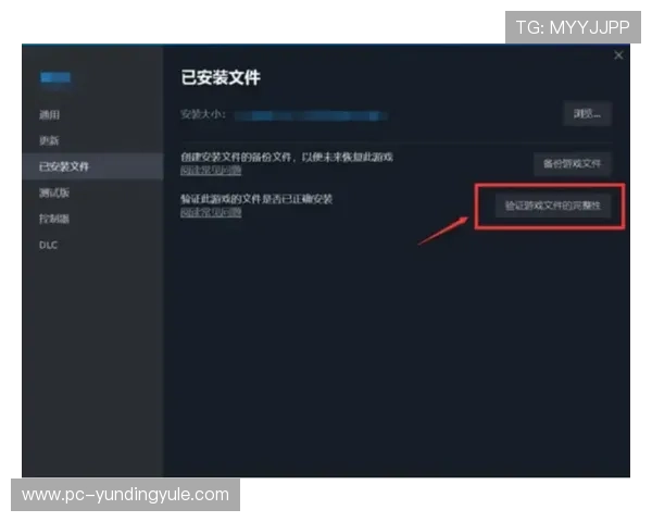 云顶集团官方入口最新登录地址及常见问题解决方案全攻略