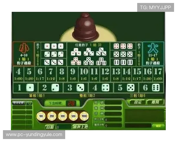 澳门买大小投注技巧分享，提升你的游戏胜率和盈利能力的实用方法