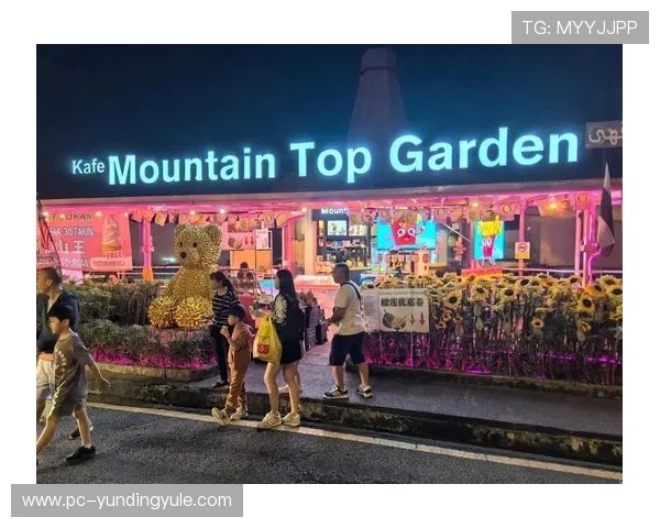 马来西亚云顶国际官网用户评价与口碑分析真实玩家体验分享