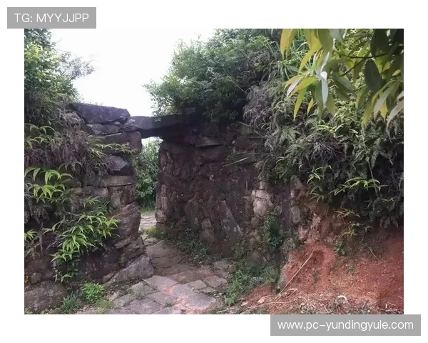 云顶山寨的准确位置在哪里,玩家如何快速找到入口和周边环境 云顶山寨的准确位置在哪里,玩家如何快速找到入口和周边环境